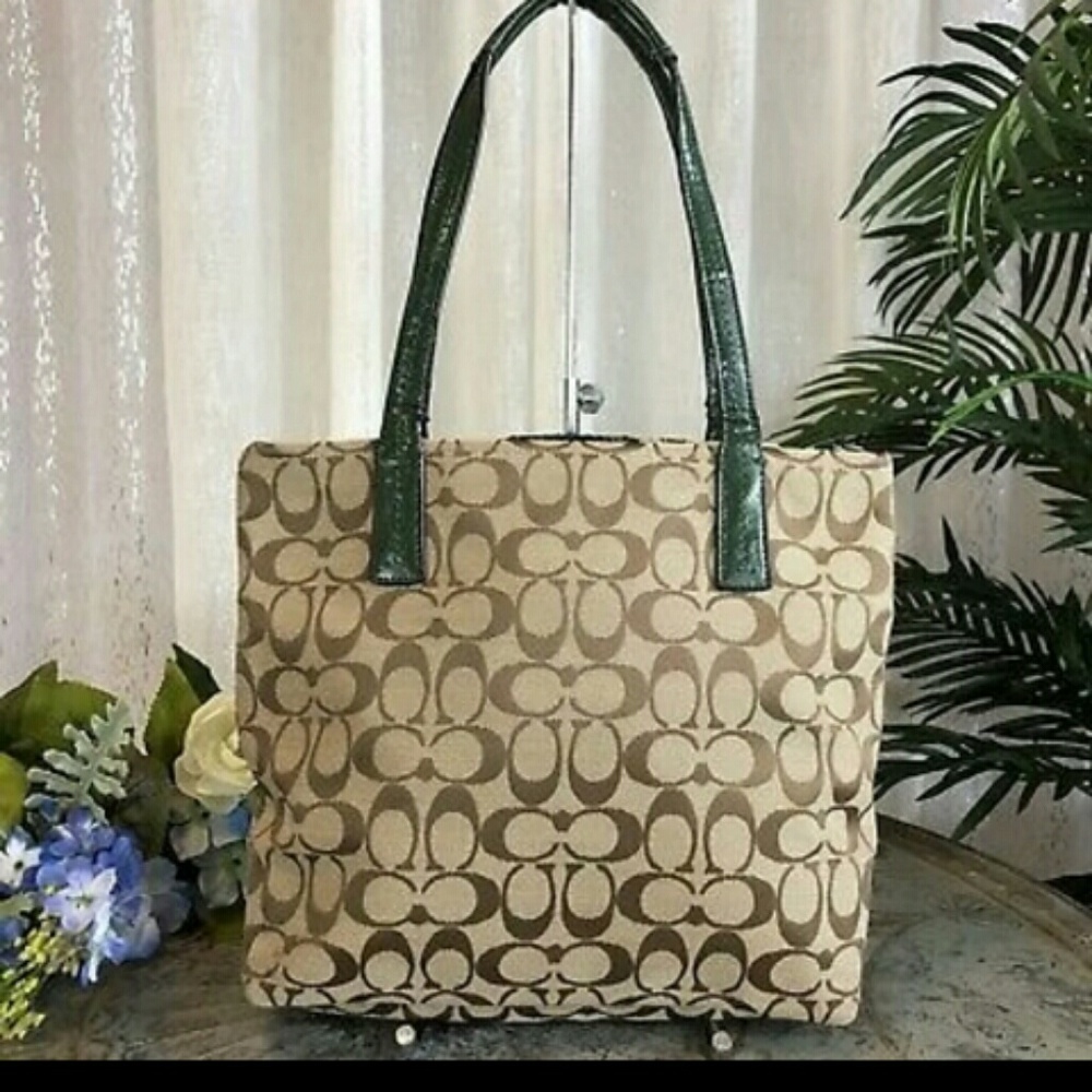 Coach Signature Stripe Python Purse - Picture 2 of 7